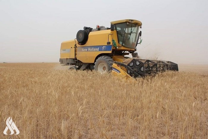 الزراعة: حصاد 72 ألف طن من الحنطة في المثنى خلال شهر واحد