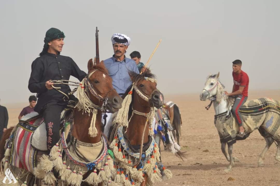 ميسان تحتضن مهرجاناً للخيول العربية الأول من نوعه