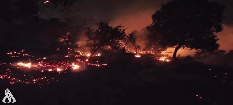 نشوب حريق كبير في محمية اليرموك شمال الاردن