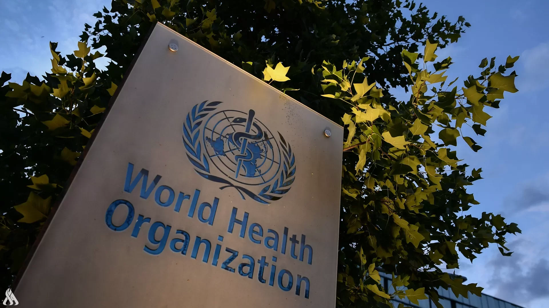 الصحة العالمية: تطعيم 60% من سكان العالم بلقاح كورونا