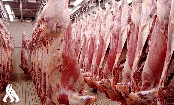 الزراعة توضح إجراءاتها لمواجهة ارتفاع أسعار المنتجات الحيوانية